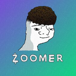 Логотип Zoomer