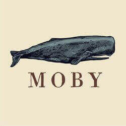 Логотип Moby