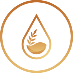 ENKI Protocol