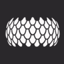 Logo de Sirin Labs