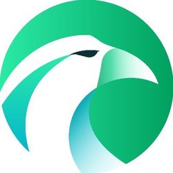 Логотип Hawksight