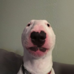 Логотип Walter