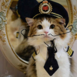 Neuracat Logo