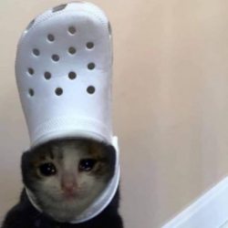 croc cat Logo