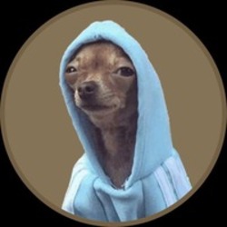 HOODOG