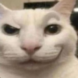catty