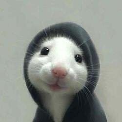 RATTHEW