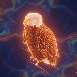 Aura Farming Eagle