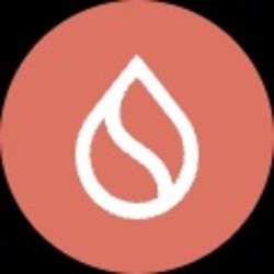 Ember SUI