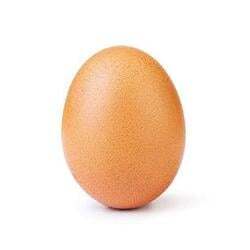 THE EGG
