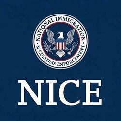 NICE 圖標