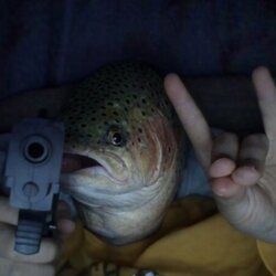 The Big Trout