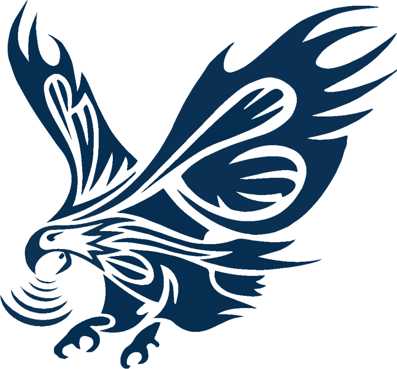 Infinite Eagle Acquisition Corp.