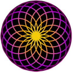Логотип TORUS