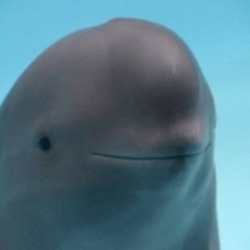 Smiling Dolphin 图标
