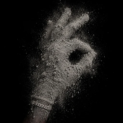 Logo de Never Sell Your Dust