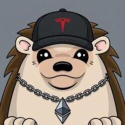 Haha Yes Hedgehog