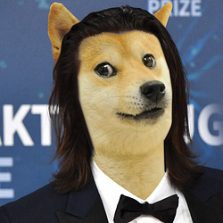 Логотип VladDog