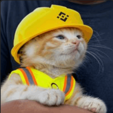 施工猫 圖標
