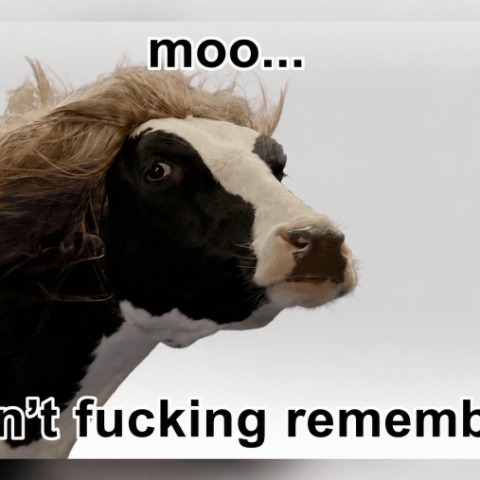 Логотип Memory cow Moo
