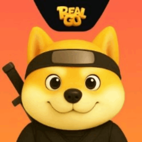 Логотип RealGo
