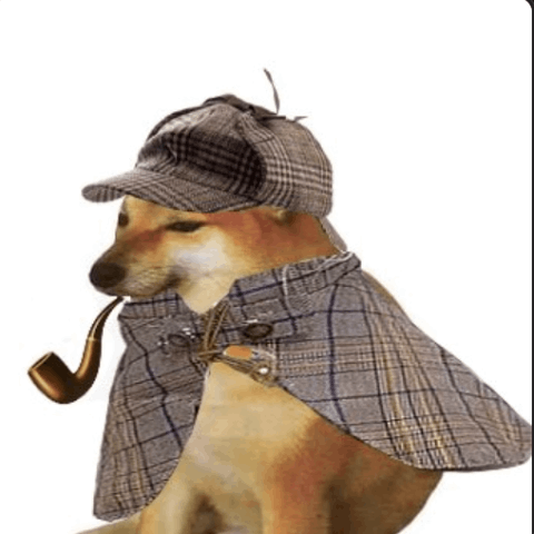 PIPEDOGUSDT